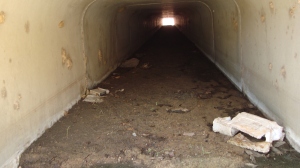 Culvert prior to clearing